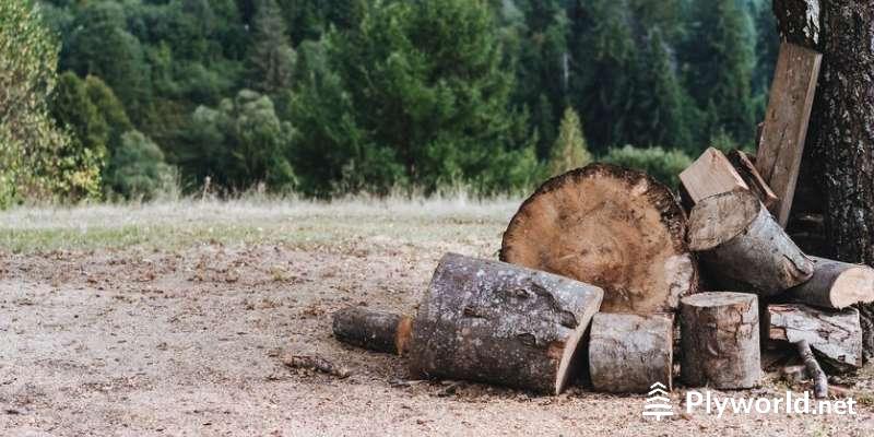 Usos de la madera según densidad 6 image 16