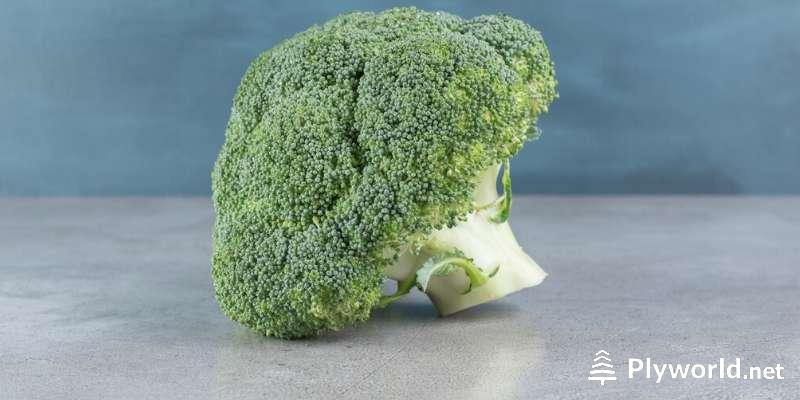 ¿Cuántos brócolis da una planta? 2 image 20